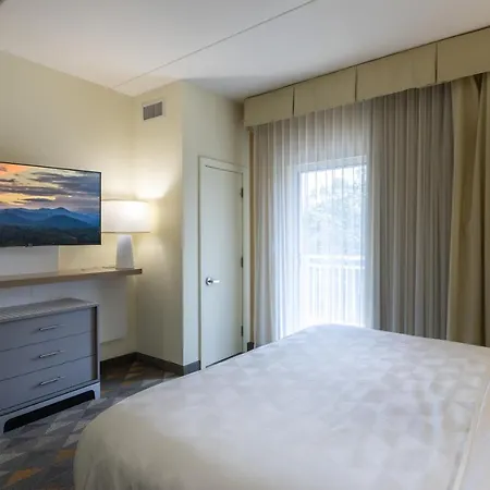 The Scenic Hotel At Biltmore Village